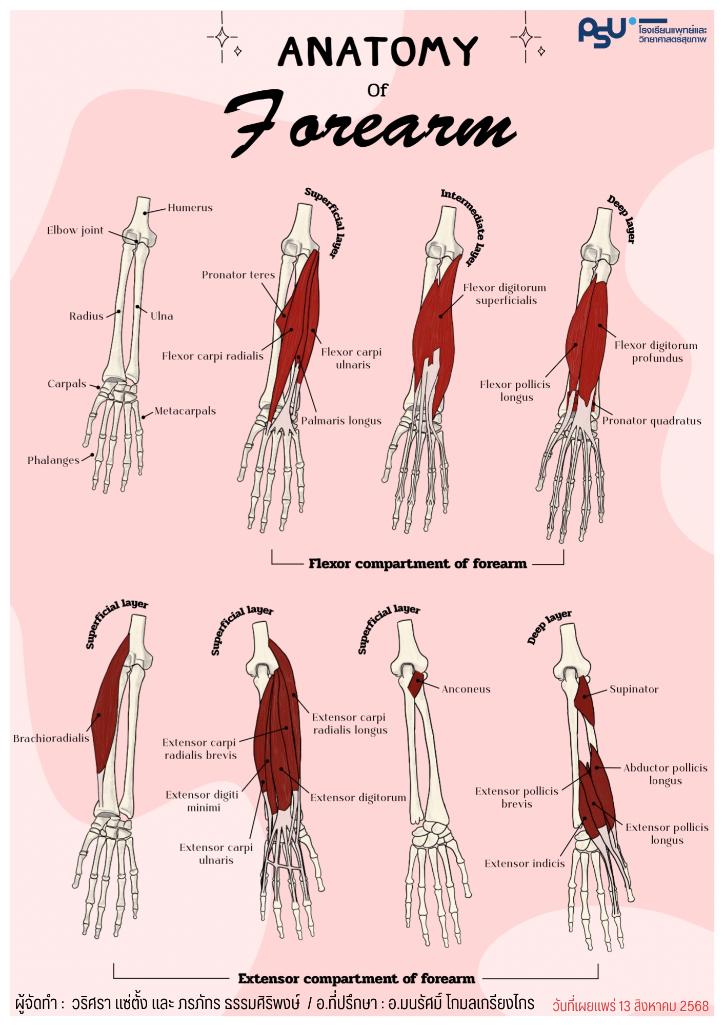 วริศรา แซ่ตั้ง